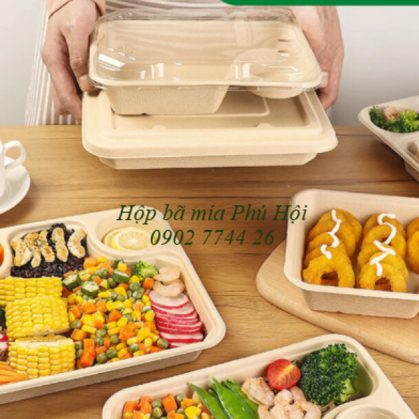 Hộp bã mía 3 ngăn nắp liền tại Quận Thủ Đức TPHCM